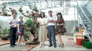 Bài Học Từ Vườn Lan Quy Củ Đẹp Đến Bất Ngờ Của Chị Trịnh Kim Dung (Lạng Sơn) [HOALANTV]